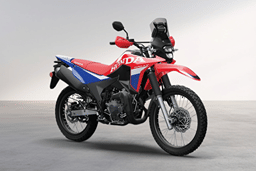 Honda XR300 Rally Extreme Red color