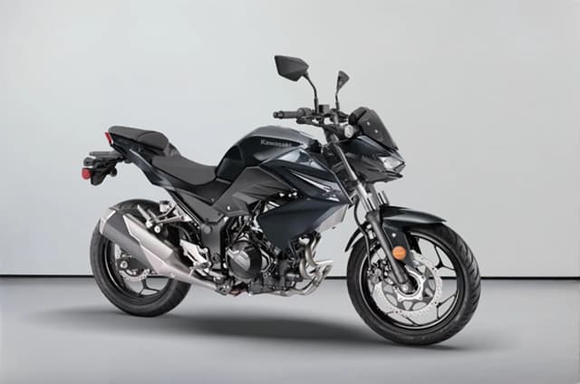 Kawasaki Z300 Metallic Carbon Gray Color Image