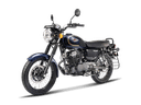 Kawasaki W175