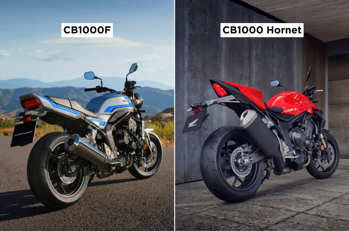 Honda CB1000F and CB1000 Hornet rear right static in field