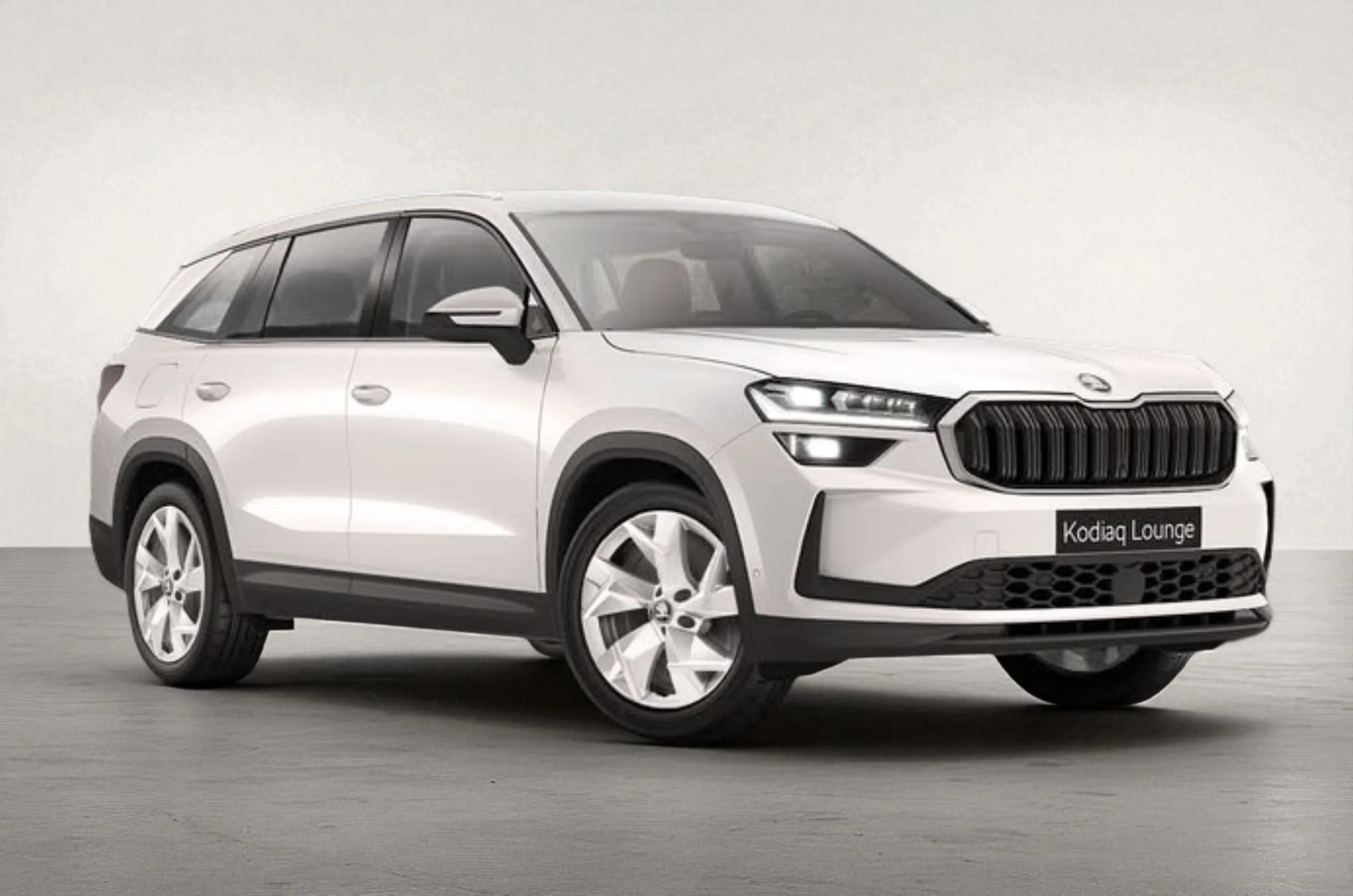 Report card: Skoda Kodiaq’s 1-year innings 