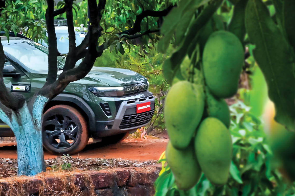 Renault Duster Mango Trails orchard