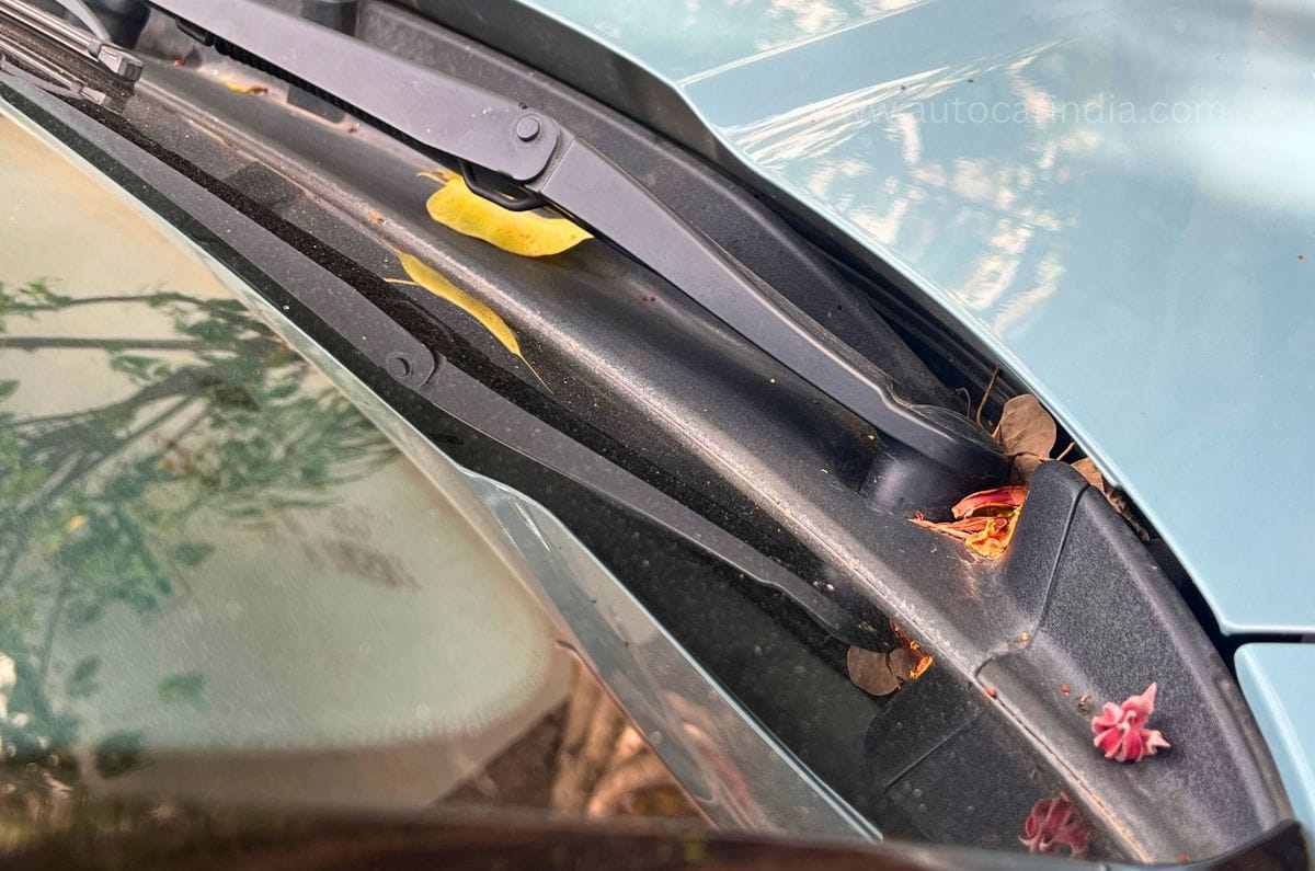 Car hidden spots for vegetation