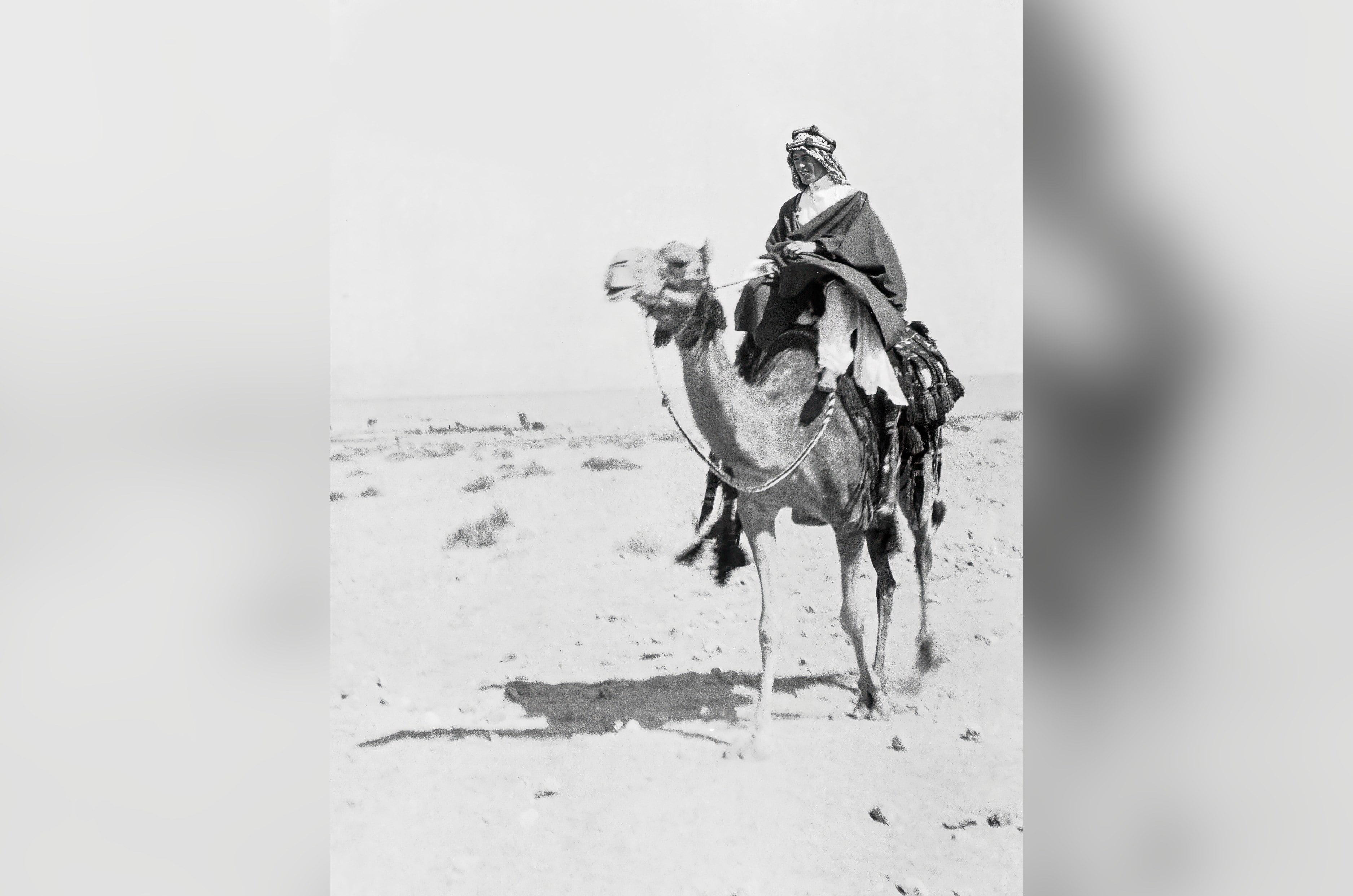 T.E. Lawrence on a camel