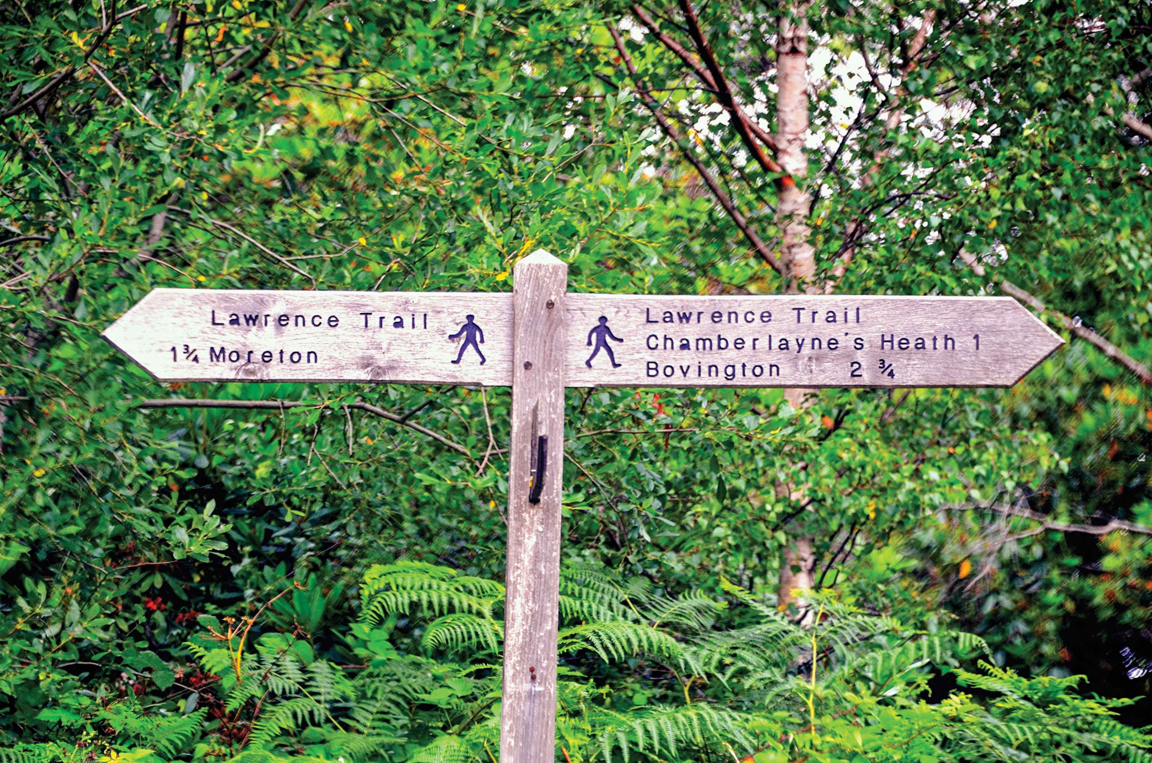 Signpost for the Lawrence of Arabia Trail