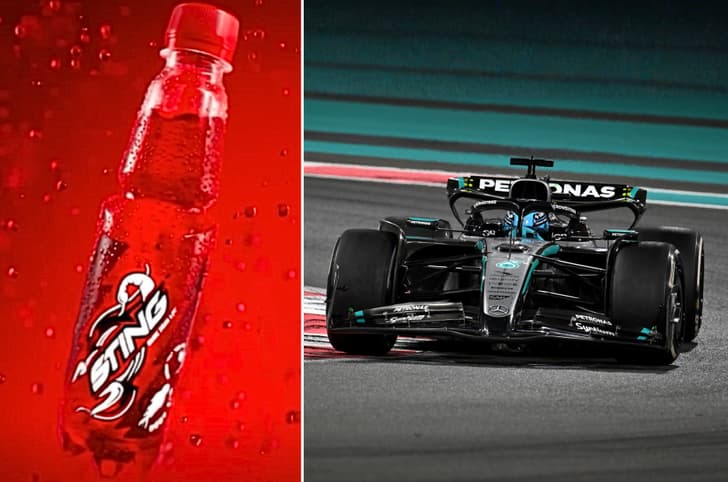 Sting and Mercedes F1