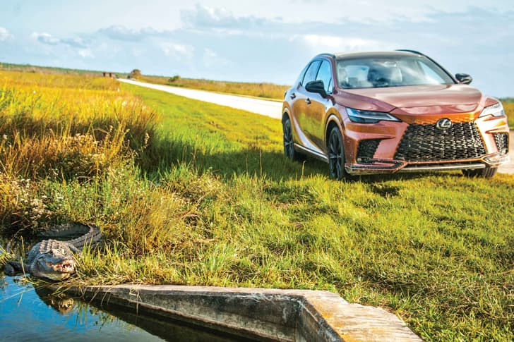 Exploring the Everglades in a Lexus RX 500h