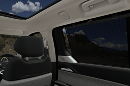 Tata Sierra door