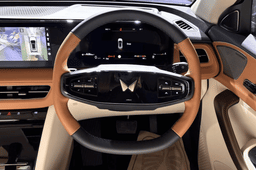 Mahindra XUV 7XO steering wheel 