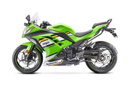 Ninja 300 side profile