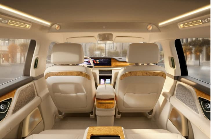 Lac Hong 800S rear seat view