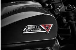 Harley Davidson Sportster S tank