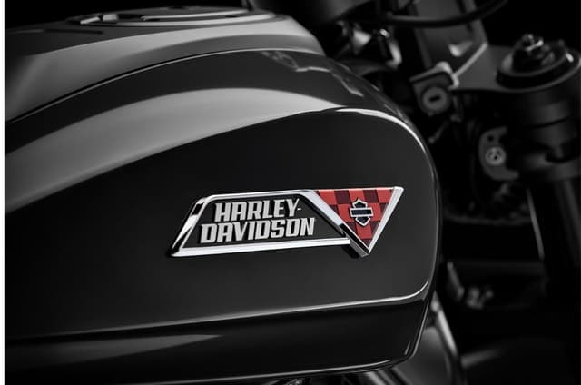 Harley Davidson Sportster S tank