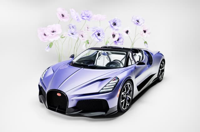 Bugatti W16 Mistral ‘Caroline’ image gallery