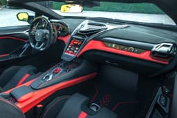 lamborghini fenomeno roadster in garden