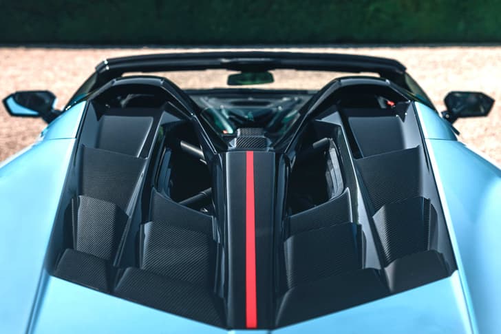 lamborghini fenomeno roadster in garden