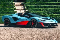 lamborghini fenomeno roadster in garden