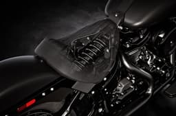Harley Davidson Deadwood rear suspension