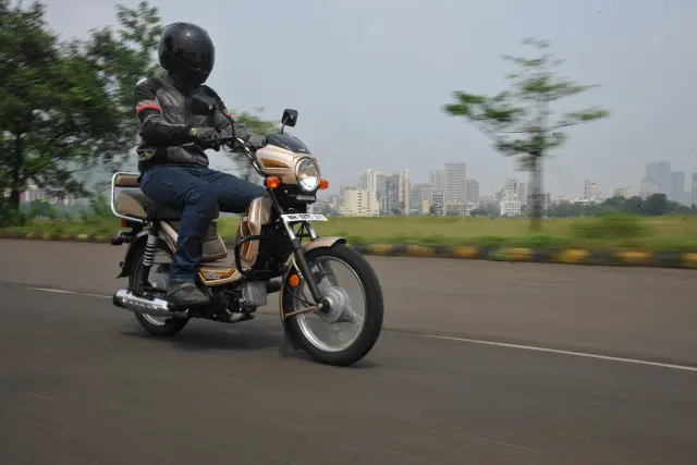 Beaver Brown color Image - 30040