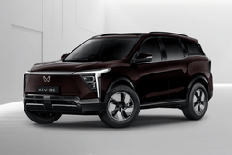 Mahindra Xev 9s Ruby Velvet color