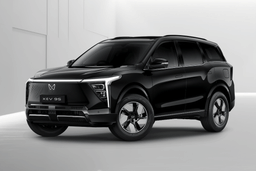 Mahindra Xev 9s Stealth Black color