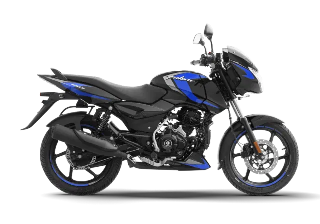 Ebony Black Ink Blue color