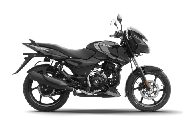 Ebony Black Dark Grey color