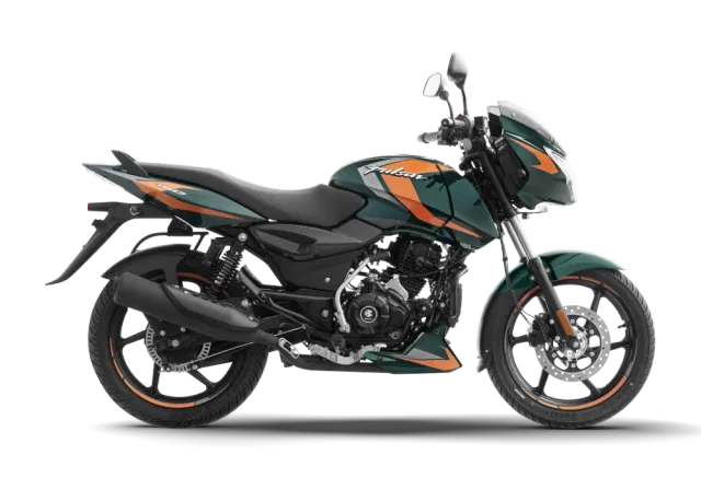 Bottle Green with Copper Beige color