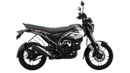 Bajaj Freedom 125 Pewter Grey color