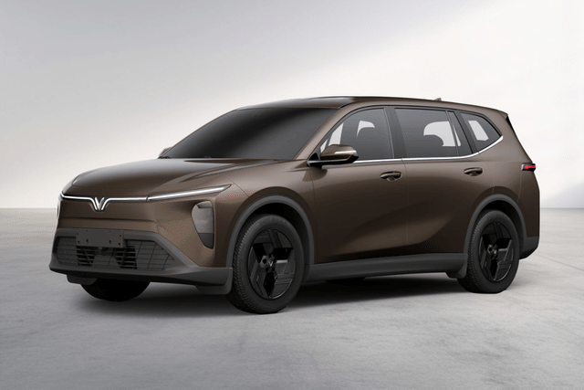 Introspective Brown color