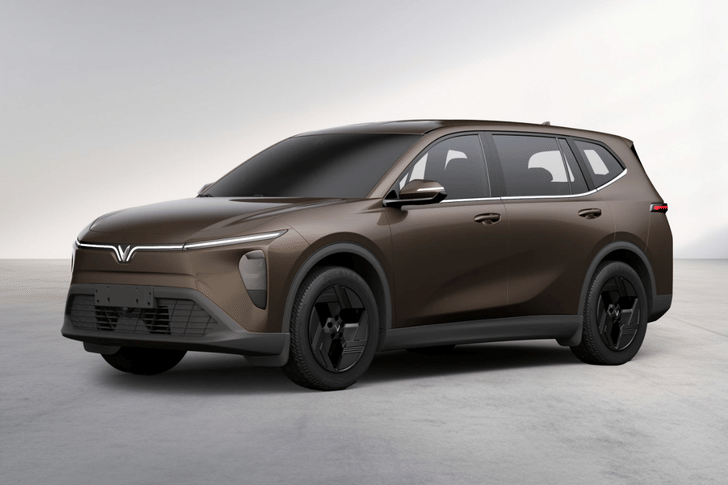 Introspective Brown color