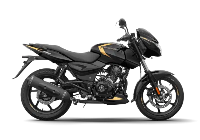 Black Gold color Image - 34149