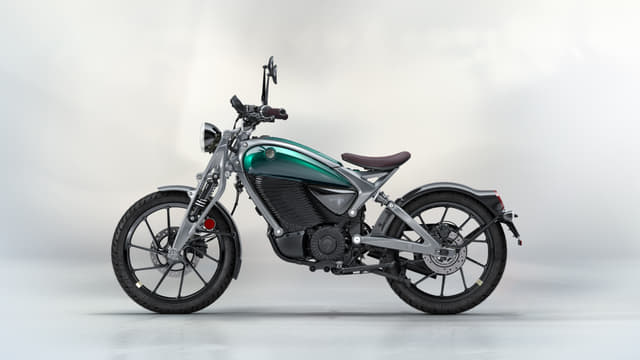 Flea Green color Image - 34152