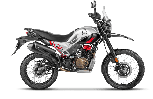 Gloss Goldfish Silver color