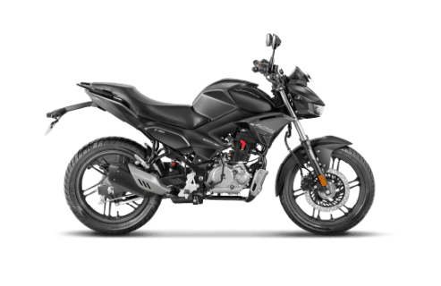 Stallion Black