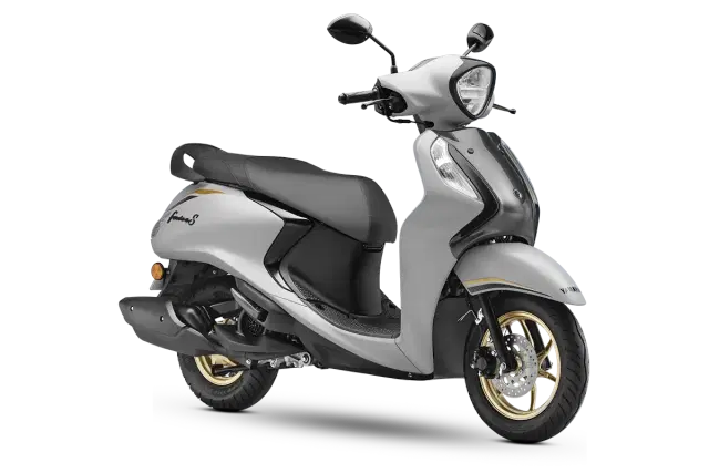 Matte Grey - SPL color Image - 36562