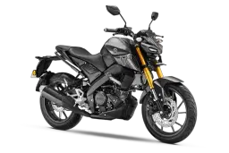 Metallic Black color