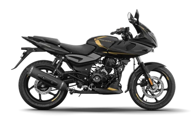 Black Gold color