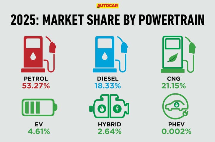 Only petrol car sales decline in 2025