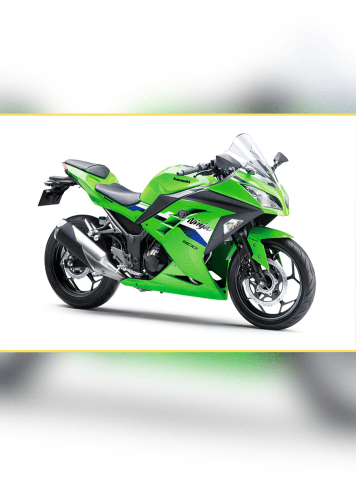 Kawasaki Ninja 300 features 